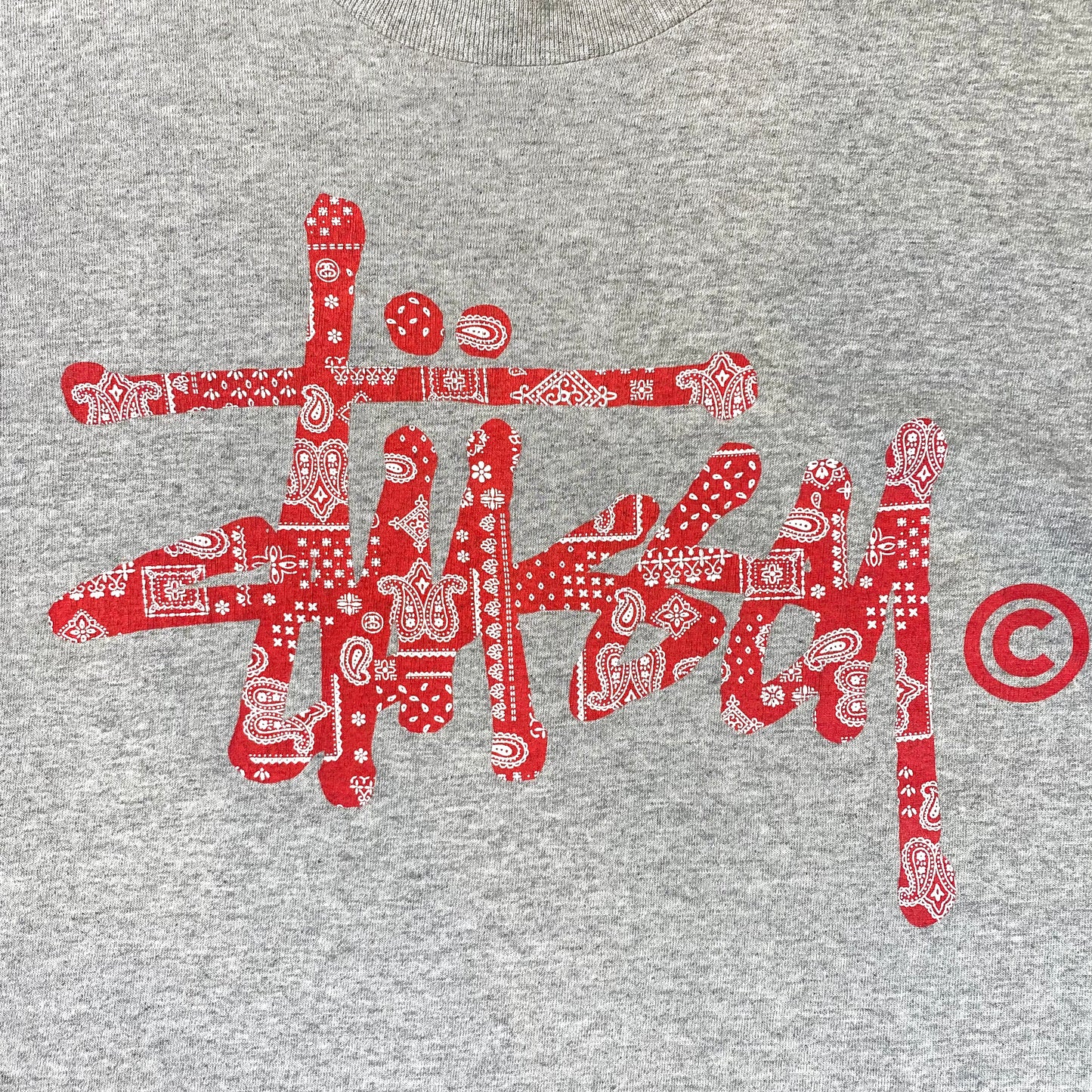 Stüssy 2000’s Bandana T-Shirt M