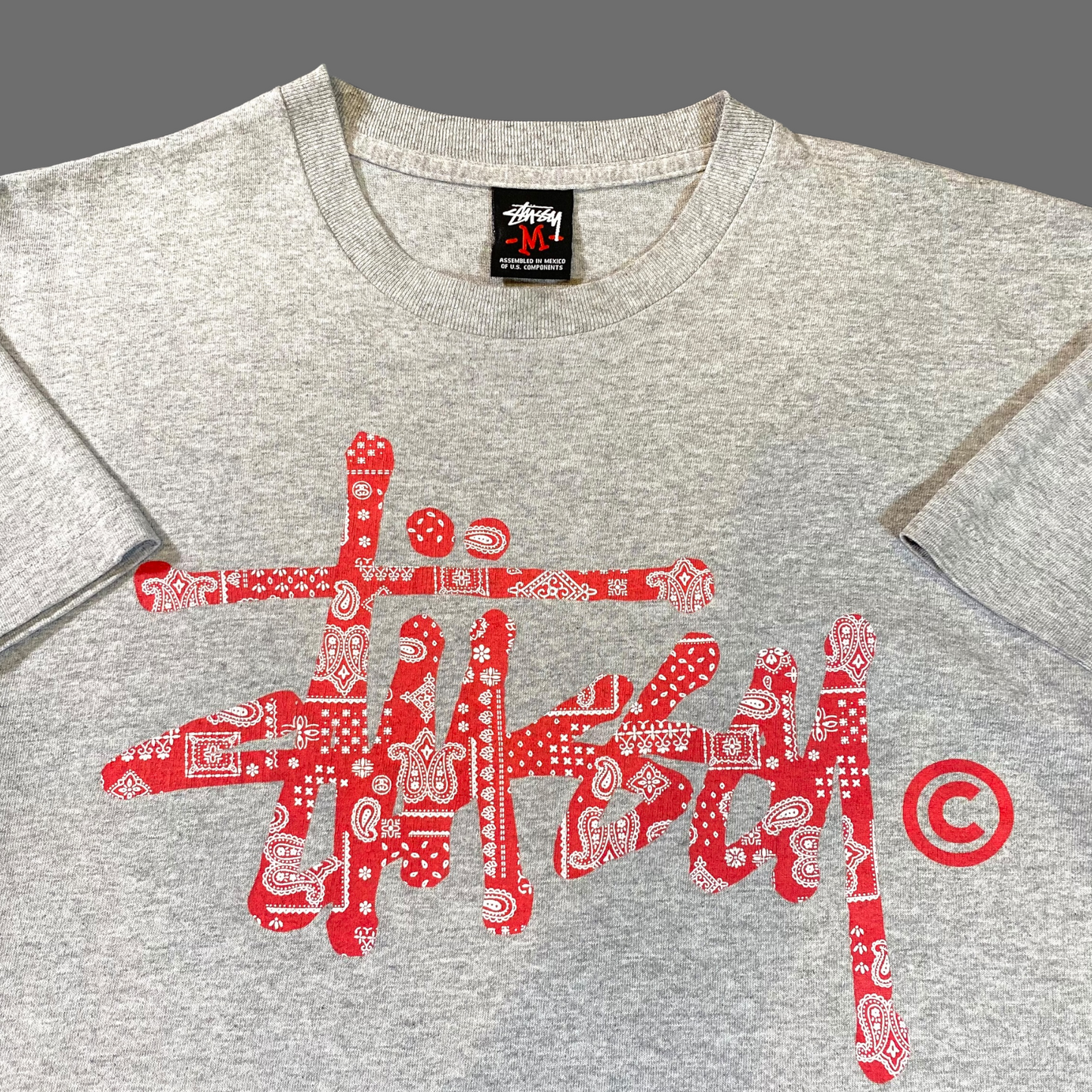 Stüssy 2000’s Bandana T-Shirt M